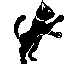 a black cat standing on its hind legs