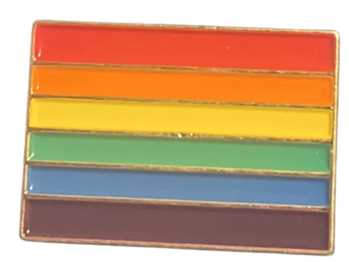 pin shaped like a six-stripe rainbow pride flag.