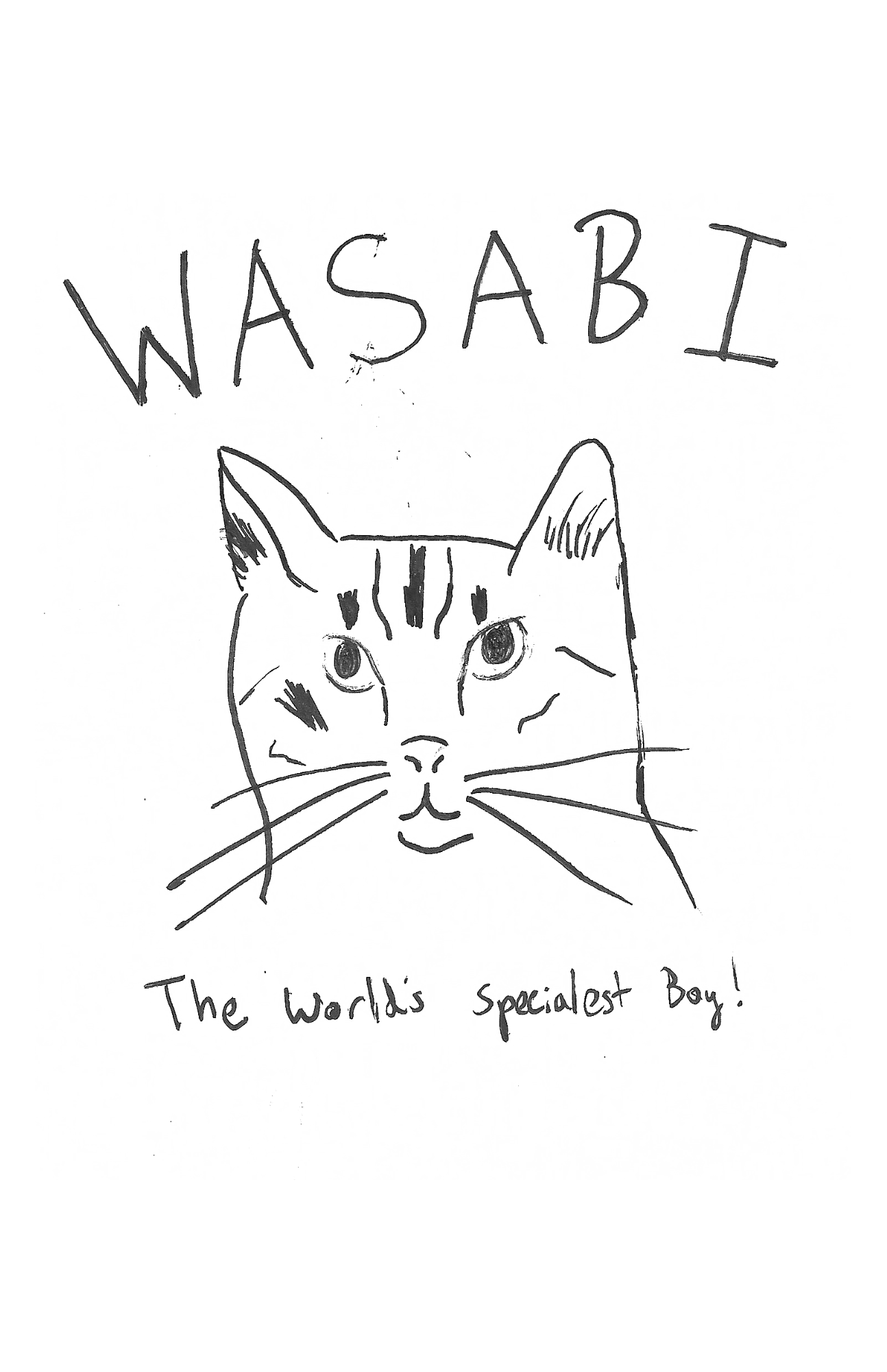 The cover of Wasabi: The World's Specialest Boy!